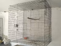 Metalkarkas quş qəfəsləri – iri həcmli model Məhsul təsviri: - — zdjęcie 1