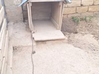 Taxta it evi real aliciya endirim var tecili satilir - Material — foto 3