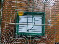 Quş qəfəsi – dekorativ dam formalı - Material: möhkəm metal — புகைப்படம் 2