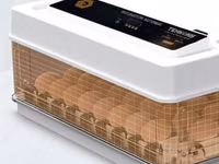 Incubator MS-70 — photo 1