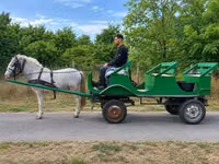 Caballo, Caballos — foto 4