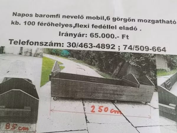 Baromfi nevelő láda