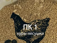 ПК-1 (куры-несушки 17-47 недель) — Foto 1