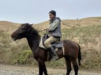 Aygʻir, Azerbaijan horse — 2-rasm