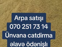 Arpa topdan satış - Yemlik arpa - Minimum sifariş miqdarı: 25 ton - — foto 1