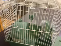 Hamster ucun qefes satilir, elave oyuncaqlar da var. Icini deyismek — الصورة 3