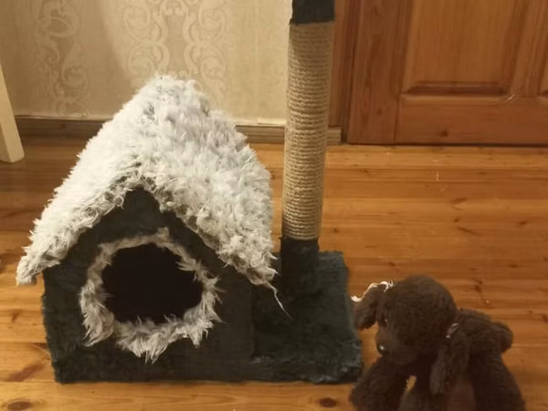 Pişik üçün ev və dırnaq itiləmə komplekti - Rahat qapalı pişik evi