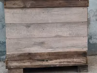 Ela veziyyetdedir möhkemdir quşlari tergitmişem diye satiram isteyen — foto 1