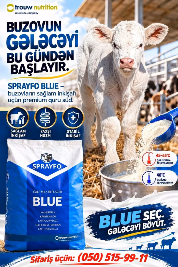 SPRAYFO BLUE – Buzovlar üçün quru süd / süd / süd qurusu / buzov
