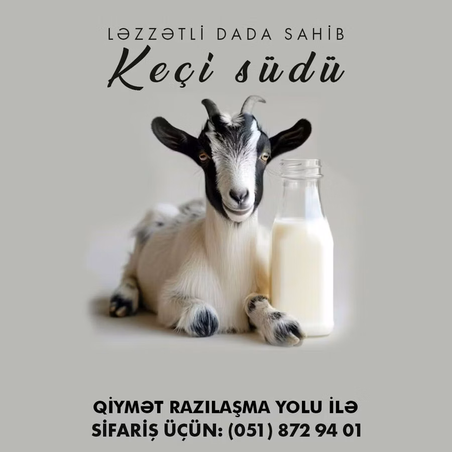 Keçi südü satlılır. Ünvandan götürmə. Ünvan Novxanı Qiymət: Razılaşma