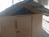 Taxta toyuq kümesi / quşxana - Material: bərk karkas, kontrplaxtan — Foto 3