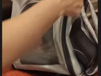 Ev heyvanları üçün daşıma çantası/backpack tipli daşıyıcı. Açıq boz — الصورة 2