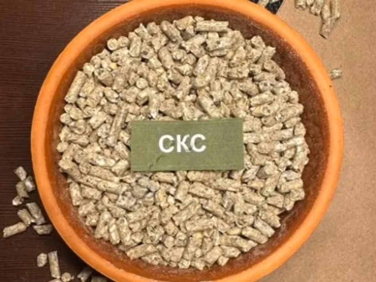 СКС Свинья Старт