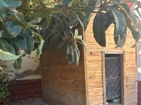 Ağac materialından hazırlanmış geniş it evi - Materiaal: təbii taxta — foto 1