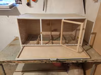 Papuqay,dovşan,hamster,şinşila,bildirçin,cücə,xamyak,pişik,quş,tısbağa — Foto 3