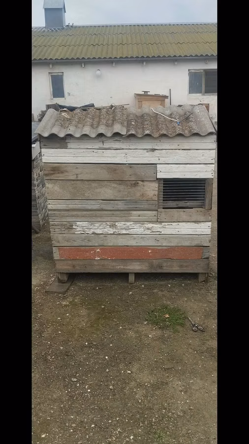 Göyerçin üçün quşxana satılır ünvan bine qiymet 50 azn içinde 20 dene