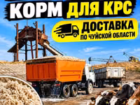 Жом — корм для КРС. Отгрузка самосвалами 16–18 тонн. - Питательный — zdjęcie 1