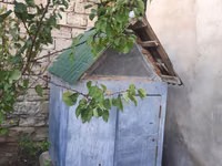Goyercin yuvasi 30dene rahat tutur — foto 1