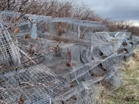 Հավի վանդակ сетка — 照片 3