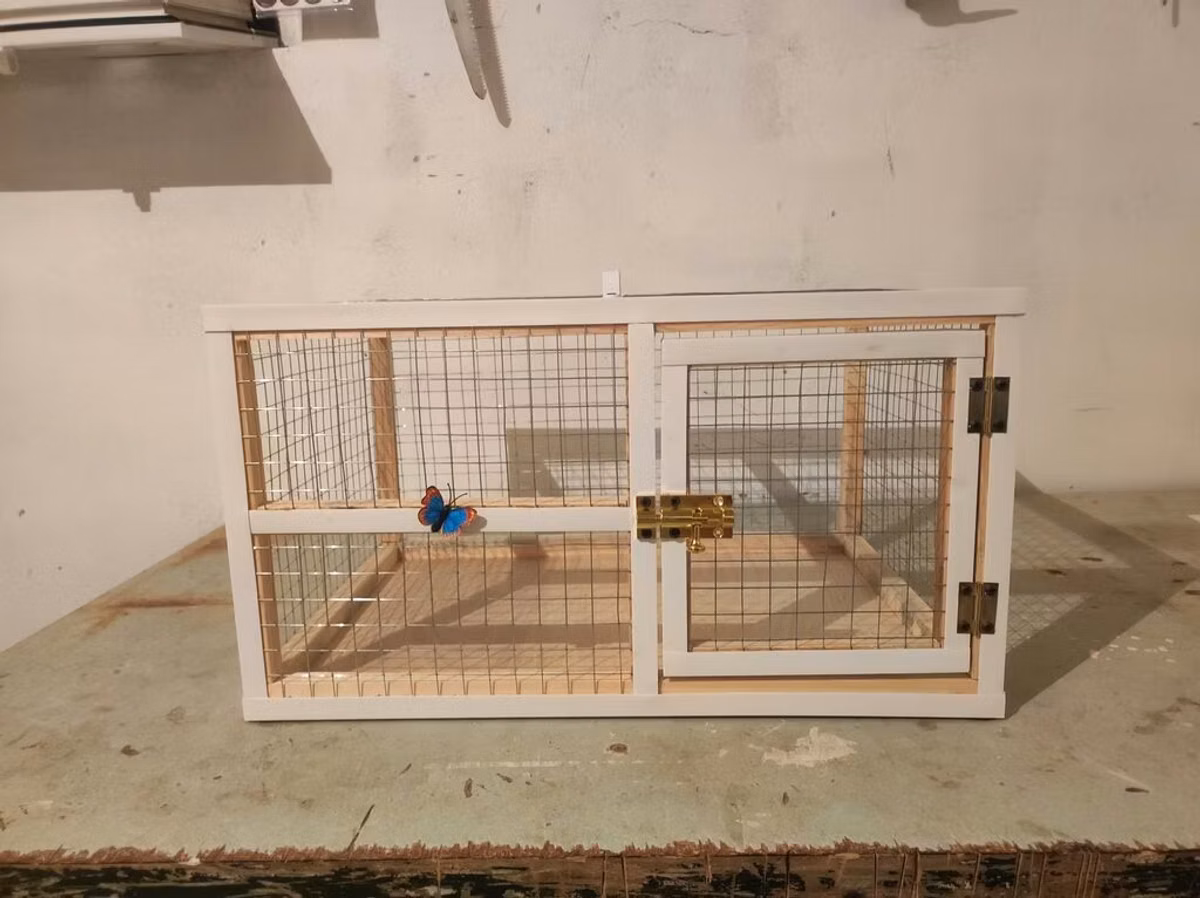 Dovşan,hamster,şinşila,bildirçin,cücə,xamyak,pişik,quş ve s kimi ev