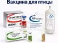 Вакцины для сельскохозяйственной птицы — foto 2