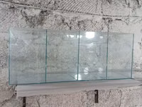 Ակվարիում բաժանած 4 սեկցիաների — foto 2