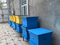 Arıçılıq üçün taxta arı pətəkləri - Model: çoxkorpuslu taxta pətək - — foto 5