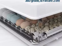 Incubator MS-70 — photo 2