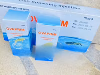 Ovulin for Fish Spawning — Foto 3