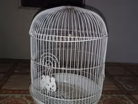 Ağ rəngli dairəvi quş qəfəsi - Material: metal telli korpus, plastik — foto 2