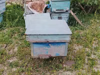 Arı pətəkləri və avadanlıqları - Material: taxta korpus, sink/metal — Foto 1