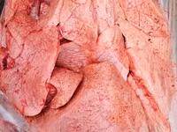 говяжьи субпродукты — foto 3