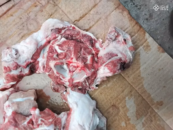Խոզի ոչ շատ յուղոտ թարմ միս ֆերմայից