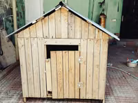 Taxta it evi / dam - Material: təbii taxta lövhələr, möhkəm karkas - — Foto 4