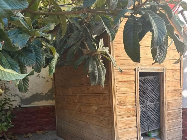 Ağac materialından hazırlanmış geniş it evi - Materiaal: təbii taxta
