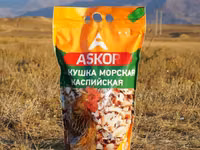 Барда кормовая — foto 3