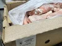 Голень индейки — 照片 2