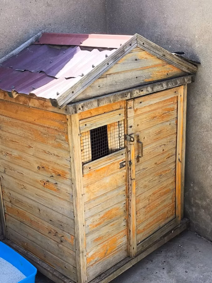 Taxta göyərçin yuvası/kümesi - Material: qalın taxta karkas, iç və