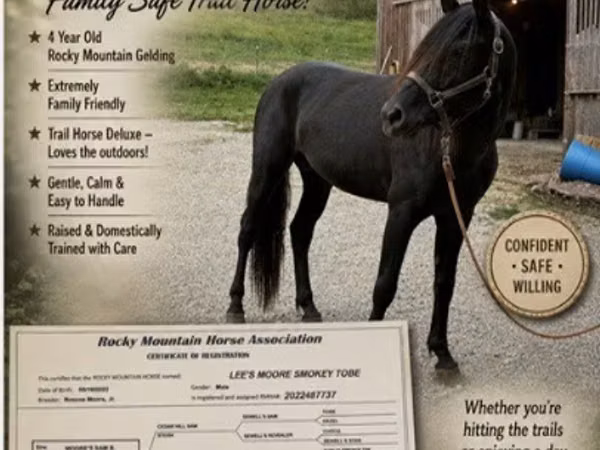 Cheval, Black Sea breed