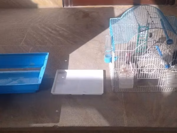 Kiçik quş qəfəsi, mavi rəngli, içərisində yem qabı var. Qəfəslə
