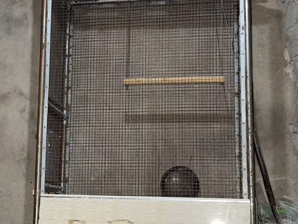 Böyük metal quş qəfəsi / voliər - Material: möhkəm metal karkas, sıx