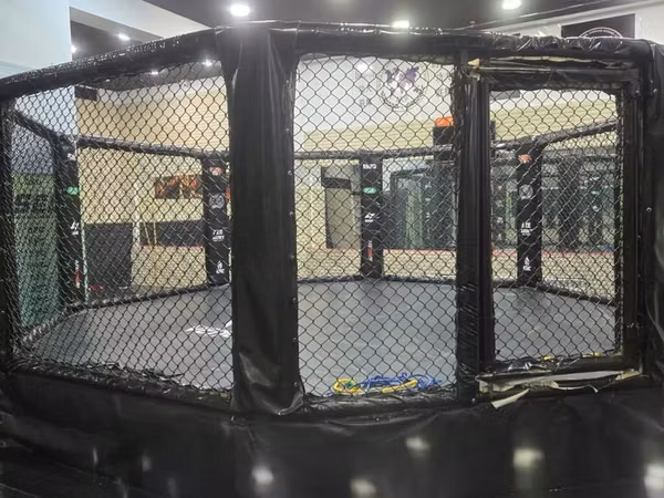 MMA məşq və yarışları üçün peşəkar oktagon qəfəs - Forma
