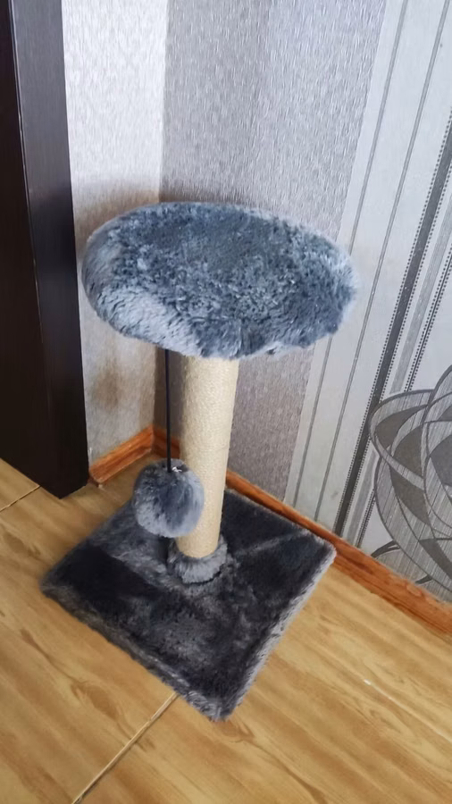 Pişik üçün latok,yem qabı,pufik