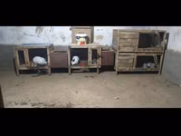 Клетки для кроликов — புகைப்படம் 2