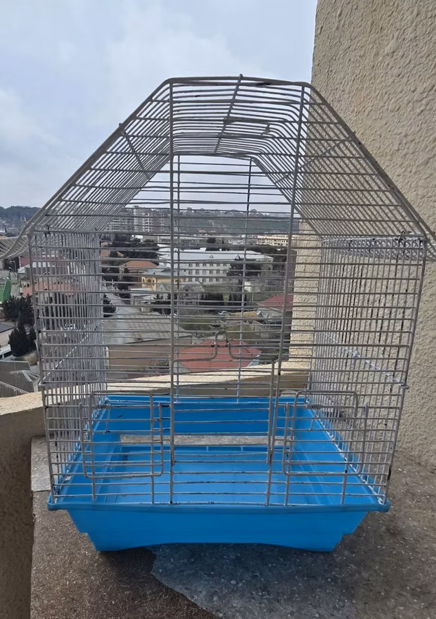 Quş qəfəsi – metal karkaslı, mavi plastik altlıqla - Material: möhkəm