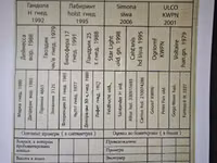 Cavalo, Cavalos — foto 4