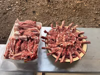 كبش, الأغنام — الصورة 6