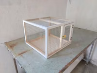 Dovşan,hamster,şinşila,bildirçin,cücə,xamyak,pişik,quş ve s kimi ev — foto 2