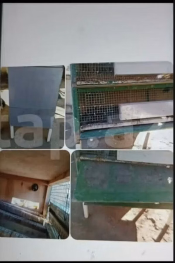 Qəfəs satılır qiyməti 45 manat deyilir real alıcılar zəng etsin