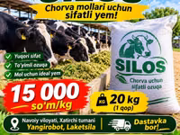 Silos sotiladi — 20 kg 15 000 so‘m, Xatirchi — الصورة 1